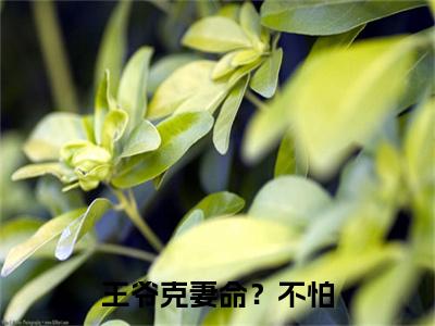王爷克妻命？不怕，她有神符护体免费小说（ 萧沫歆尉迟冥）全本免费阅读-王爷克妻命？不怕，她有神符护体最新章节列表
