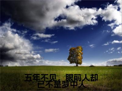 五年不见，眼前人却已不是梦中人（木子易沈冉）全文免费阅读无弹窗大结局_木子易沈冉免费阅读最新章节列表_笔趣阁