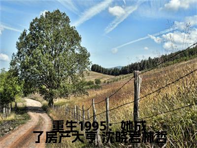 重生1995：她成了房产大亨全文免费阅读_（重生1995：她成了房产大亨） 沈晓君林哲最新小说_笔趣阁