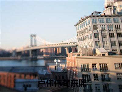 奇观无用？我的奇观来自千古华夏（ 卢伟伟苟东熙）是哪部小说的主角-奇观无用？我的奇观来自千古华夏（ 卢伟伟苟东熙）全文无弹窗完整版阅读