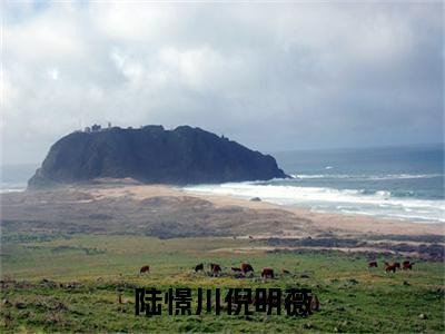 【新书】《倪明薇陆憬川》全文免费阅读无弹窗大结局-陆憬川倪明薇全文全章节免费阅读