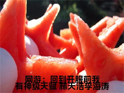  林天浩李海涛（网游：回到开服前我有神级天赋）在哪免费看- 林天浩李海涛小说（网游：回到开服前我有神级天赋）全文完整版免费阅读