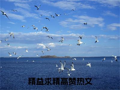 精益求精( 王欣欣林阳)小说精彩免费内容_精益求精（ 王欣欣林阳）最新章节全文阅读大结局（精益求精）
