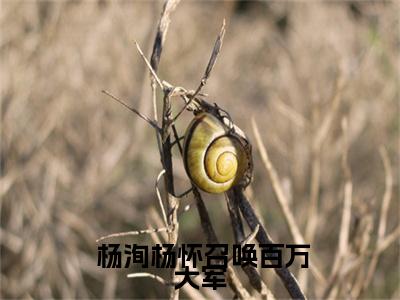 小说召唤百万大军，女帝给我削苹果全文免费阅读无弹窗_（ 杨洵杨怀完结）召唤百万大军，女帝给我削苹果小说免费阅读无弹窗最新章节列表_笔趣阁