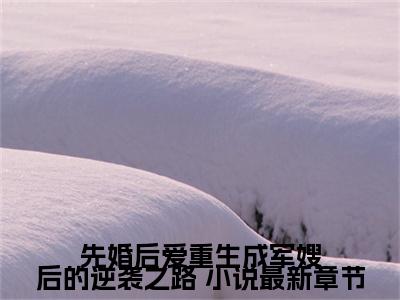 先婚后爱重生成军嫂后的逆袭之路 小说最新章节（ 叶宁叶宁）全文在线阅读无弹窗大结局_（ 叶宁叶宁全文在线阅读无弹窗）先婚后爱重生成军嫂后的逆袭之路 小说最新章节最新章节列表_笔趣阁（ 叶宁叶宁）
