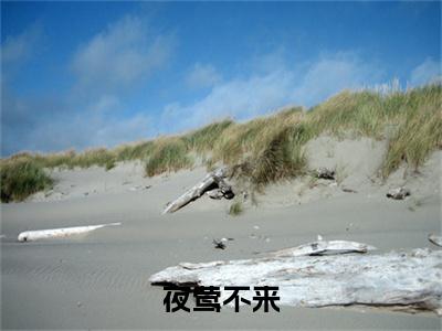  宋姒颜遣武小说夜莺不来全文免费阅读无弹窗-正版小说 宋姒颜遣武全文阅读