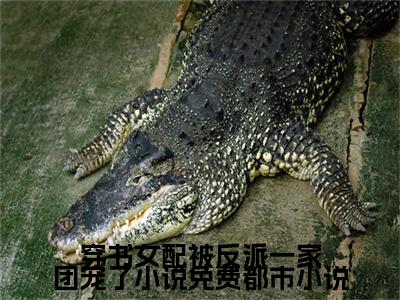  尉迟曦娴妃（穿书女配被反派一家团宠了小说免费）今日爆款小说-（ 尉迟曦娴妃）穿书女配被反派一家团宠了小说免费完结大结局免费阅读
