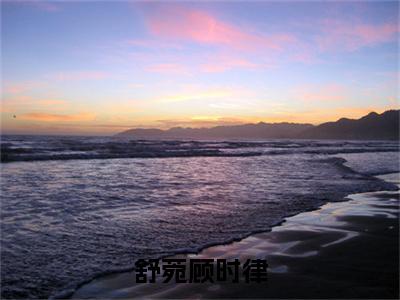 顾时律舒菀在线阅读(舒菀顾时律小说)全文免费阅读无弹窗大结局_舒菀顾时律免费最新章节列表_笔趣阁(顾时律舒菀小说)
