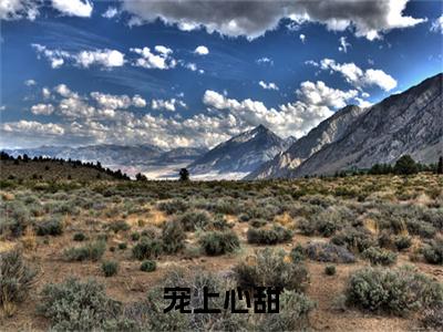 宠上心甜郝恬顾墨白全文免费阅读_宠上心甜无弹窗最新章节