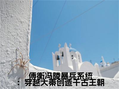 暴兵系统：穿越大秦创造千古王朝（ 傅衡冯陵）小说全文免费阅读无弹窗-暴兵系统：穿越大秦创造千古王朝全章节在线阅读