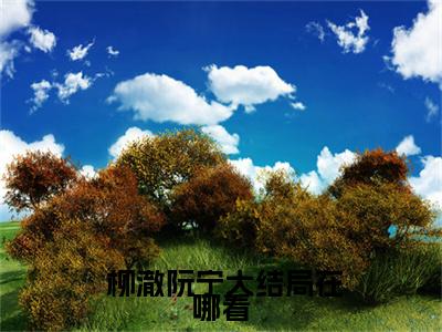 农家傻女：团宠大佬A爆了在线阅读无弹窗_ 柳澈阮宁最新章节列表_笔趣阁