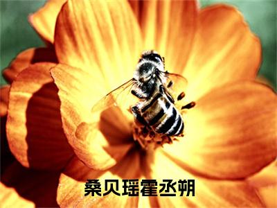 霍丞朔桑贝瑶小说桑贝瑶霍丞朔最新章节阅读-最新热点小说霍丞朔桑贝瑶