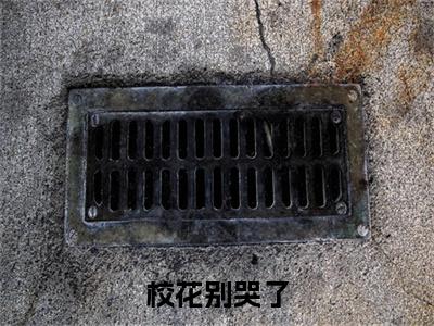 校花别哭了，我的深情你不配顾辰时林冉冉小说整篇试读全文免费阅读大结局_校花别哭了，我的深情你不配顾辰时林冉冉小说整篇试读（ 顾辰时林冉冉）最新章节列表