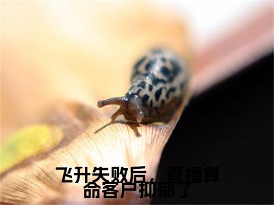 飞升失败后，直播算命客户抑郁了全文免费阅读无弹窗-（夏清竹夏清梅）飞升失败后，直播算命客户抑郁了最新章节列表在线阅读