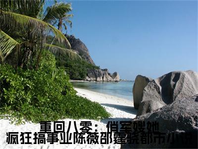小说 陈薇邵霆骁全文免费阅读无弹窗大结局-重回八零：俏军嫂她疯狂搞事业陈薇邵霆骁在线阅读
