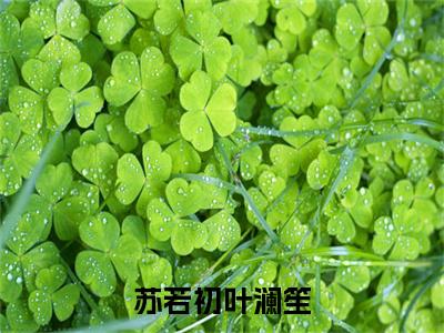叶澜笙苏若初小说免费阅读（苏若初叶澜笙）全文免费阅读无弹窗大结局_叶澜笙苏若初小说免费阅读最新章节列表_笔趣阁（苏若初叶澜笙）