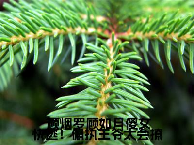  顾烟罗顾如月全文（傻女快逃！偏执王爷太会撩）全文免费阅读无弹窗大结局_ 顾烟罗顾如月免费最新章节列表_笔趣阁