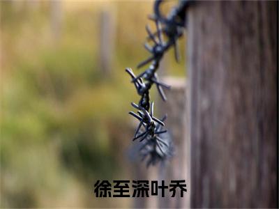 叶乔徐至深(徐至深叶乔)全文免费阅读无弹窗大结局_ 叶乔徐至深最新章节列表_笔趣阁