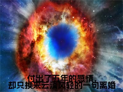 付出了五年的感情,却只换来云淡风轻的一句离婚靳云洲安枝予免费小说 靳云洲安枝予全文无弹窗完整版阅读