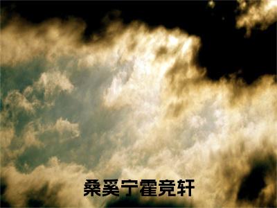 霍竞轩桑奚宁(桑奚宁霍竞轩)全文免费阅读无弹窗大结局_桑奚宁霍竞轩最新章节列表_笔趣阁