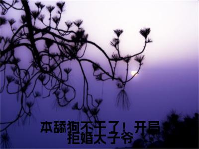 本舔狗不干了！开局拒婚太子爷（ 谢韵赵景）全文免费阅读无弹窗大结局_本舔狗不干了！开局拒婚太子爷小说全文免费阅读最新章节列表（ 谢韵赵景）