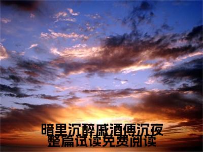 暗里沉醉戚酒傅沉夜整篇试读（ 戚酒傅沉夜）全文免费阅读无弹窗大结局_（暗里沉醉戚酒傅沉夜整篇试读） 戚酒傅沉夜最新章节列表_笔趣阁