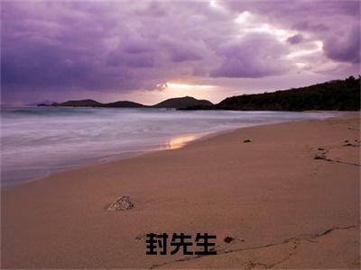 封先生，我们离婚了沐听雪封掣（ 沐听雪封掣）最新章节阅读-热点小说榜单推荐 沐听雪封掣