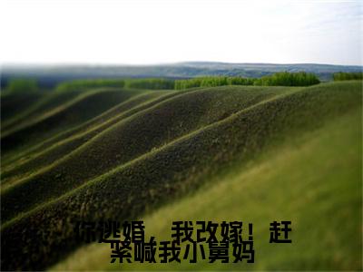 你逃婚，我改嫁！赶紧喊我小舅妈(姜宁霍羡州)全文免费读无弹窗大结局_（姜宁霍羡州免费小说）你逃婚，我改嫁！赶紧喊我小舅妈无弹窗最新章节列表_笔趣阁（姜宁霍羡州）