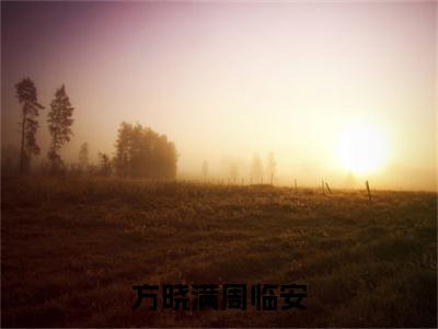 方晓满周临安小说（周临安方晓满）全文免费阅读无弹窗大结局_方晓满周临安小说免费阅读最新章节列表笔趣阁（周临安方晓满）
