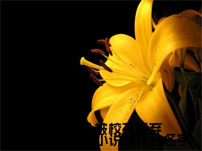 神豪：从被校花嫌弃开始身价暴涨（ 陈凡赵琳琳）全文免费阅读无弹窗大结局_（ 陈凡赵琳琳）最新章节