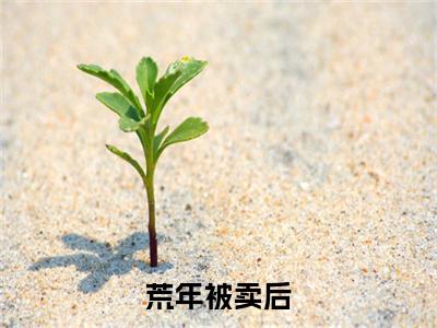 荒年被卖后，嫁给首辅做甜妻（ 楚月陆星河）精彩小说-小说 楚月陆星河全文无删减版免费阅读