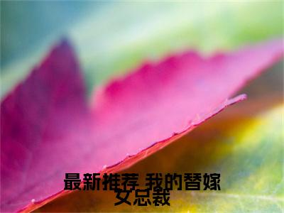 《 陈南李惠然》全文免费阅读无弹窗大结局-我的替嫁女总裁无弹窗阅读
