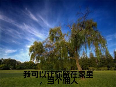 宋晚婉陆熠晨今日更新最新章节 我可以让你留在家里,当个佣人在线阅读