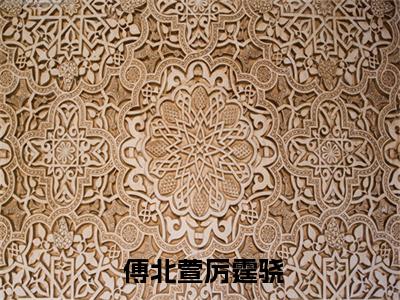 小说《九年后，疯批大佬跪着追妻》全文免费阅读无弹窗-九年后，疯批大佬跪着追妻（ 傅北萱厉霆骁）小说全文在线赏析_笔趣阁