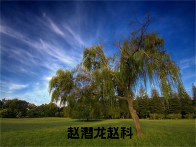 官途，搭上女领导之后！全文免费阅读无弹窗大结局_官途，搭上女领导之后！( 赵潜龙赵科)最新章节列表_笔趣阁