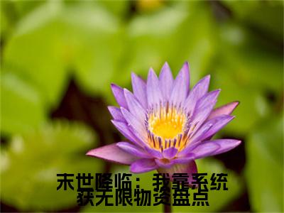 【新书】末世降临：我靠系统获无限物资全文全章节免费阅读- 周楚楚秦泽渊小说免费阅读无弹窗最新章节列表
