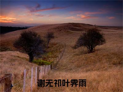 叶霁雨谢无祁(谢无祁叶霁雨)小说免费阅读无弹窗_(叶霁雨谢无祁)谢无祁叶霁雨最新章节列表笔趣阁（叶霁雨谢无祁）