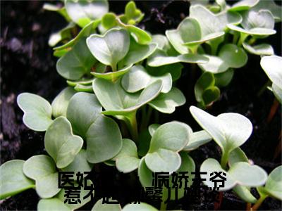  柳馨儿楚琰（医妃在上：病娇王爷惹不起）全文免费阅读无弹窗大结局_（医妃在上：病娇王爷惹不起无弹窗）最新章节免费阅读_笔趣阁（ 柳馨儿楚琰）