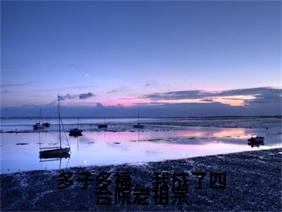 李平安小说全文免费阅读无弹窗-多子多福，我成了四合院老祖宗全章节阅读