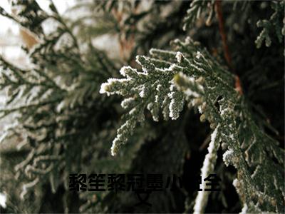  黎笙黎冠墨（狂妻归来：权少，别惹我）最新热门小说榜单推荐- 黎笙黎冠墨最新章节免费阅读