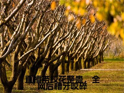 何小白完结版小说直播带校花整蛊，全网后槽牙咬碎全文在线免费阅读_直播带校花整蛊，全网后槽牙咬碎最新章节列表_笔趣阁