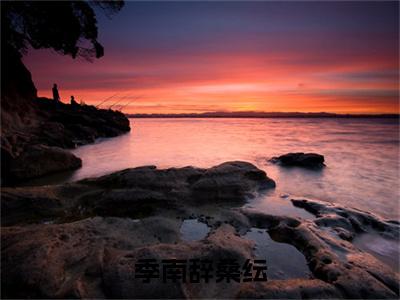 季南辞桑纭小说全文在线赏析 桑纭季南辞小说免费阅读全文大结局