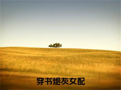 穿书炮灰女配，她靠种地发家致富小说小说限时免费, 姬慎林立夏完结版小说阅读无弹窗_笔趣阁