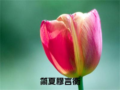 穆言衡简夏（简夏穆言衡最新全章节大结局）全文阅读-穆言衡简夏简夏穆言衡在线小说免费阅读