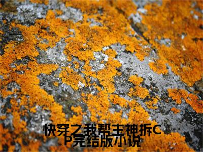 快穿之我帮主神拆CP知乎小说全文免费阅读_（ 乔峤乔欣怡）快穿之我帮主神拆CP完结版在线阅读最新章节列表笔趣阁