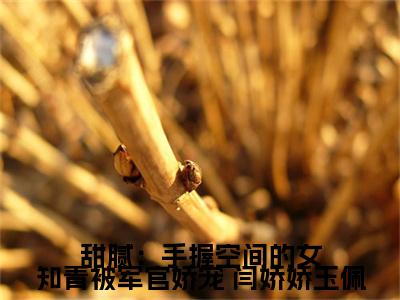  闫娇娇玉佩免费版最新更新阅读- 甜腻：手握空间的女知青被军官娇宠小说全文在线阅读
