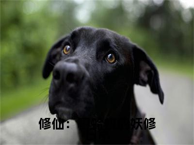 主人公叫（ 莫凡孙悟）的小说（修仙：癞蛤蟆的妖修日常）全文免费阅读最新章节列表_笔趣阁