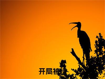 开局被绿，她转身嫁给渣男弟弟小说（ 时凝沈令琛）全文在线阅读免费大结局_开局被绿，她转身嫁给渣男弟弟小说最新章节列表_笔趣阁（ 时凝沈令琛）