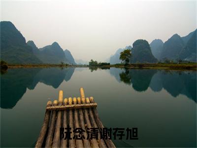 谢存旭阮念清小说（阮念清谢存旭）全文在线阅读无弹窗大结局_（谢存旭阮念清在线阅读无弹窗）最新章节列表_笔趣阁（阮念清谢存旭）