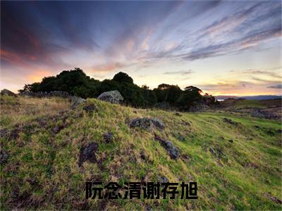 谢存旭阮念清(阮念清谢存旭)全文免费阅读无弹窗大结局_谢存旭阮念清免费试读阅读全文无弹窗_